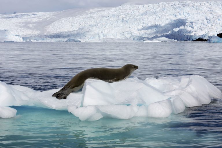 Global Warming and Water Pollution Water Pollution