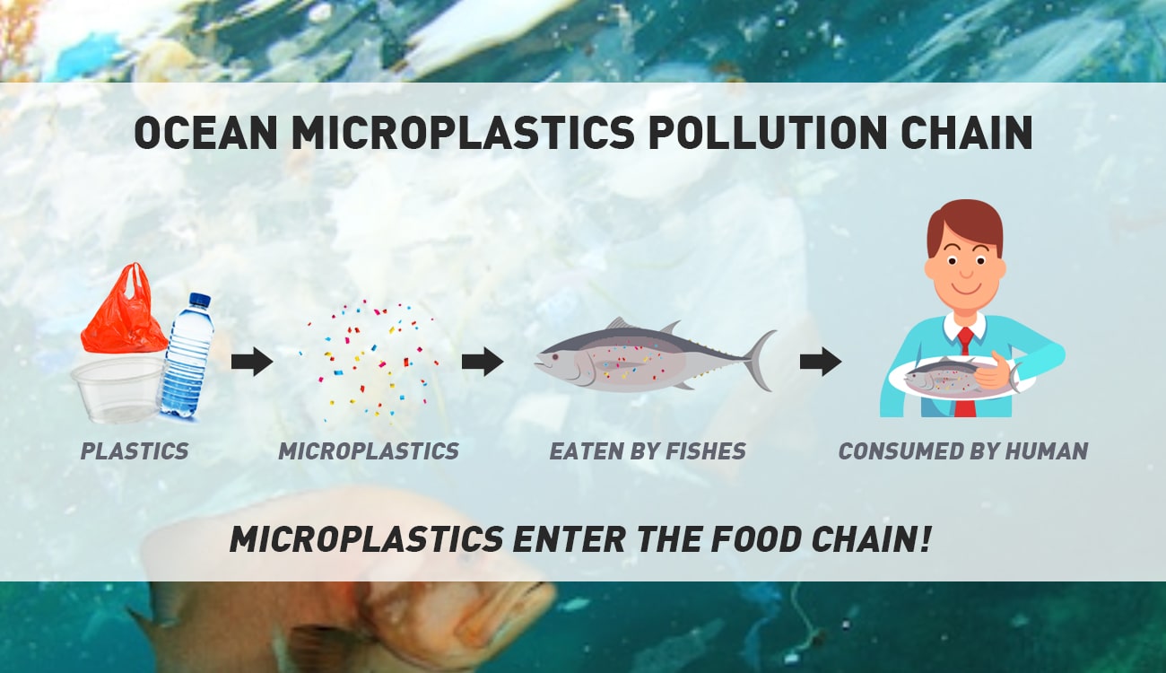 Image result for microplastic consumption